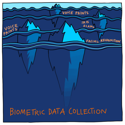 Illustration of 4 icebergs which are grouped in the top half of the image. These icebergs represent methods of biometric data collection.
